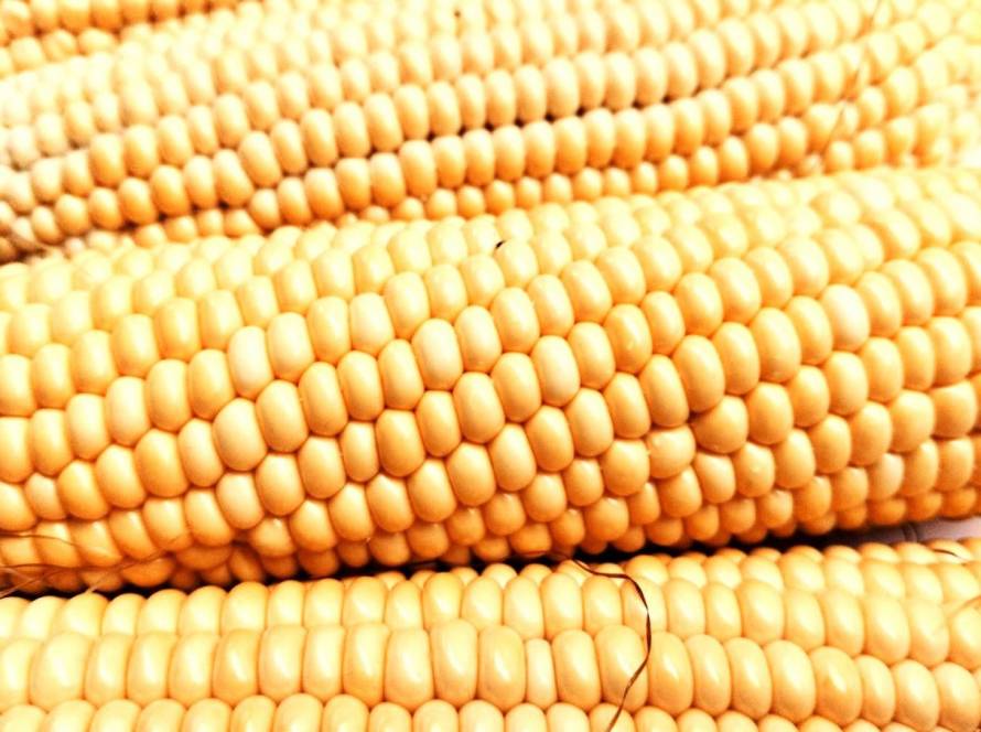 Кукуруза